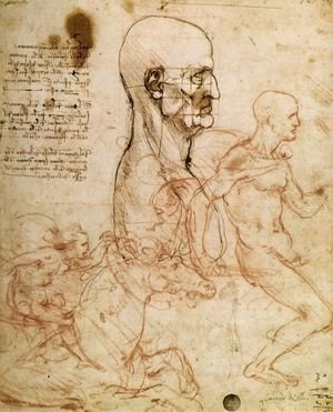 Sketches for The Battle of Anghiari 1504-6
