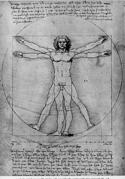 Vitruvian Man, Study of proportions, from Vitruvius's De Architectura