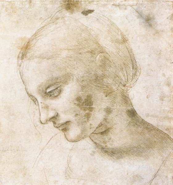 Study of a woman's head