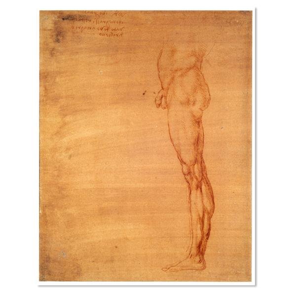 The Abdomen and Leg of a Man