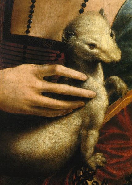 Lady with an Ermine (Detail)