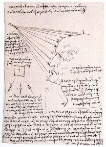 Study Of The Effect Of Light On A Profile Head Facsimile