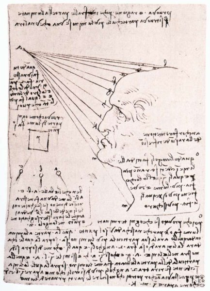 Study Of The Effect Of Light On A Profile Head Facsimile