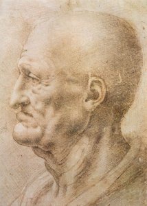 Profile Of An Old Man