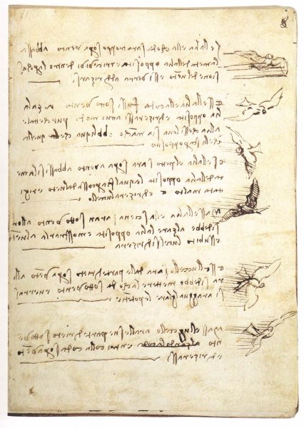 Codex On The Flight Of Birds