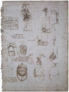 Studies Of The Villa Melzi And Anatomical Study