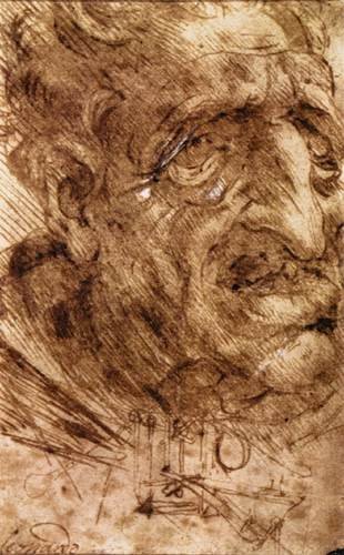 Head of an Old Man