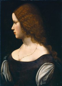 Portrait of a Young Lady